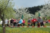 2014-04-13-kirschbluetenfest-023