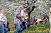 2014-04-13-kirschbluetenfest-32