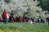 2014-04-13-kirschbluetenfest-64