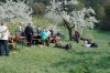 2014-04-13-kirschbluetenfest-73