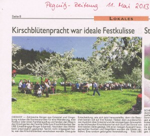 Nachtrag Kirschblütenfest 2013_ PZ