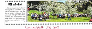 Nachtrag Kirschblütenfest 2013_ Wochenblatt
