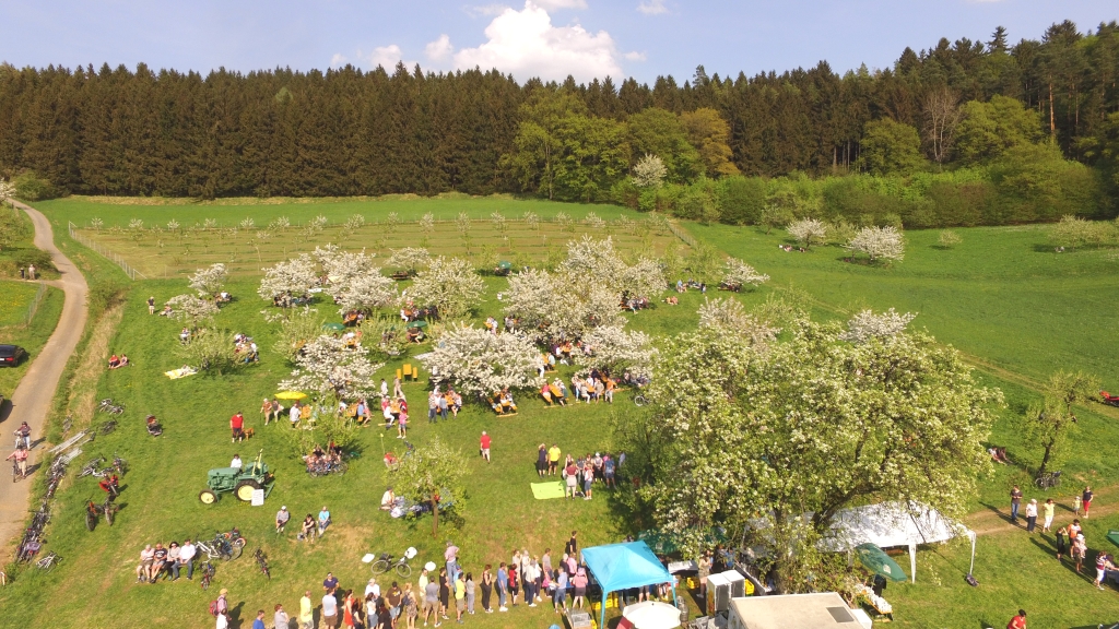 Kirschblütenfest 2019